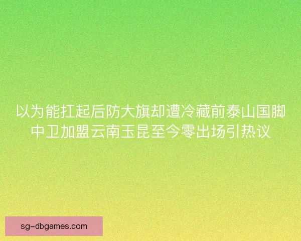 以为能扛起后防大旗却遭冷藏前泰山国脚中卫加盟云南玉昆至今零出场引热议